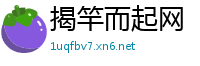 揭竿而起网
